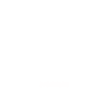 logo version blanc
